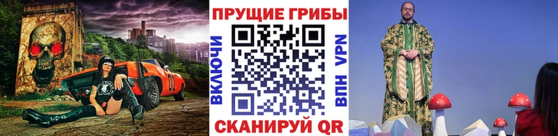 mega рабочий сайт  Емва  Псилоцибиновые грибы Psilocybine cubensis 